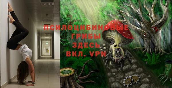 хмурый Алексеевка
