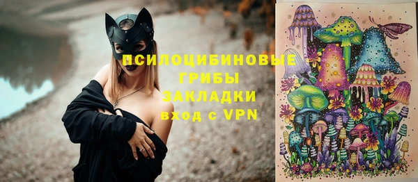 хмурый Алексеевка