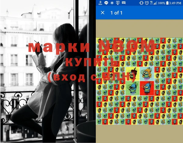 трава Новозыбков